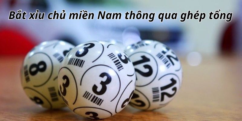 Bắt xỉu chủ miền Nam thông qua ghép tổng